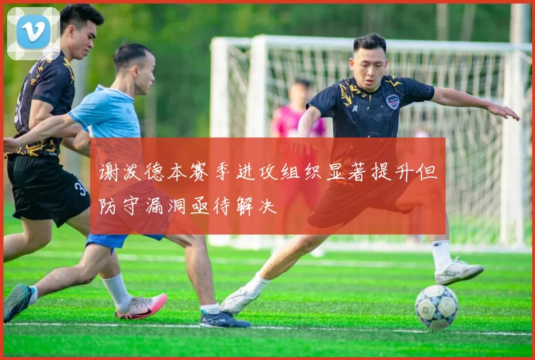 谢泼德本赛季进攻组织显著提升但防守漏洞亟待解决