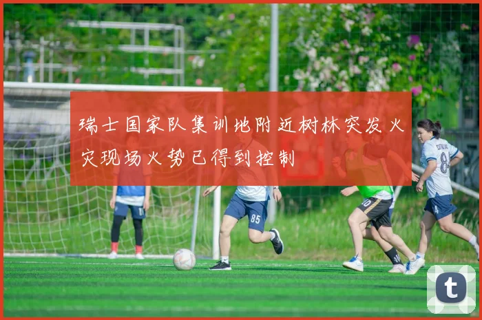 瑞士国家队集训地附近树林突发火灾现场火势已得到控制